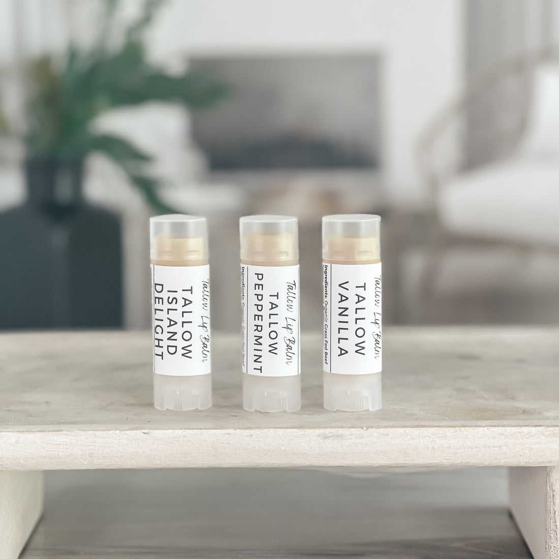 3 tallow lip balms on a tray in a line to show simple labels