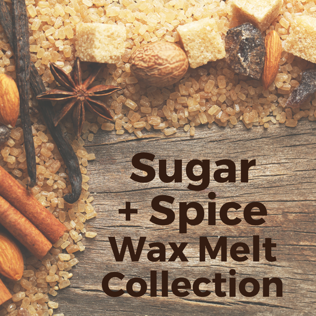 Sugar + Spice ~ Winter Foods Wax Melt Collection