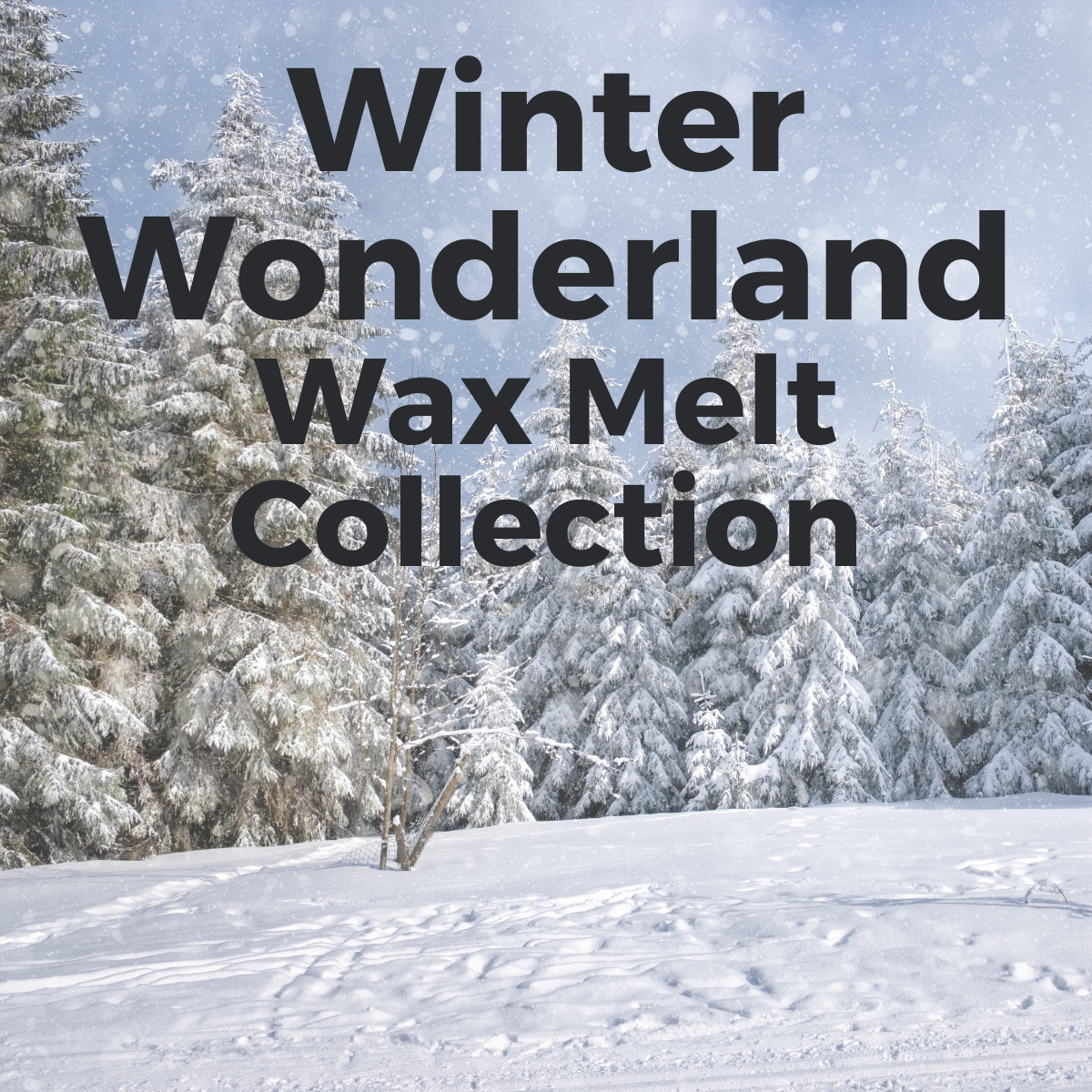 Winter Wonderland ~ Wax Melt Collection